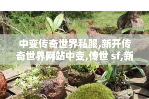 中变传奇世界私服,新开传奇世界网站中变,传世 sf,新开传奇世界网站中变