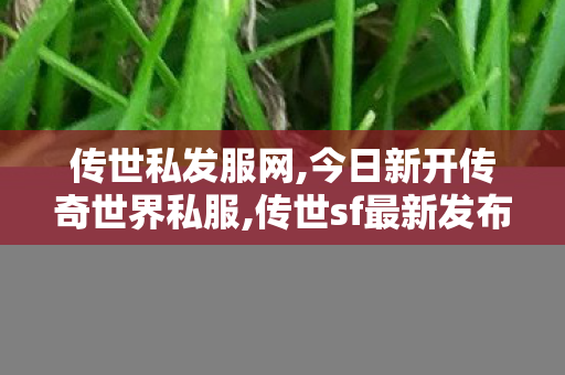 传世私发服网,今日新开传奇世界私服,传世sf最新发布网站,今日新开传奇世界私服