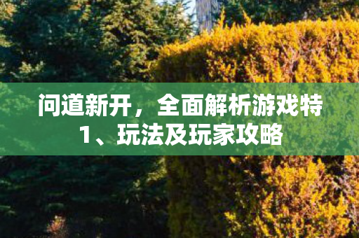 问道新开，全面解析游戏特1、玩法及玩家攻略