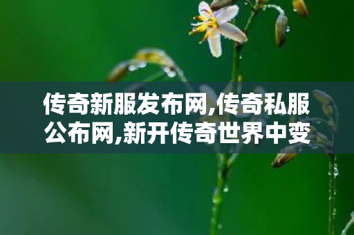 传奇新服发布网,传奇私服公布网,新开传奇世界中变,传奇私服公布网