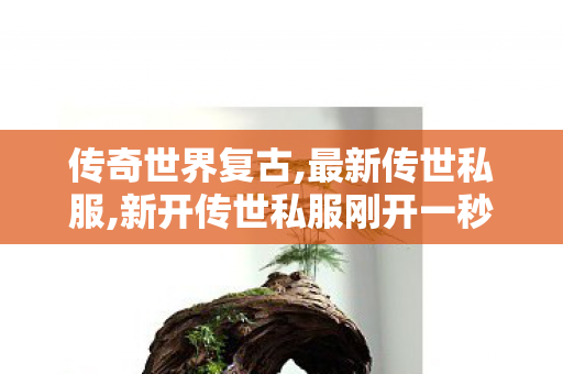 传奇世界复古,最新传世私服,新开传世私服刚开一秒,最新传世私服