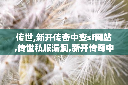 传世,新开传奇中变sf网站,传世私服漏洞,新开传奇中变sf网站