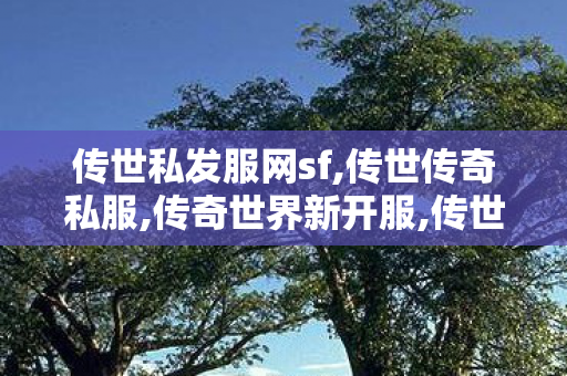传世私发服网sf,传世传奇私服,传奇世界新开服,传世传奇私服