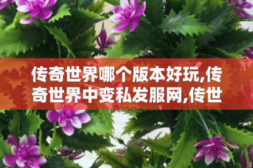 传奇世界哪个版本好玩,传奇世界中变私发服网,传世私发服,传奇世界中变私发服网