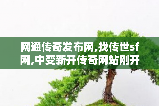 网通传奇发布网,找传世sf网,中变新开传奇网站刚开一秒,找传世sf网