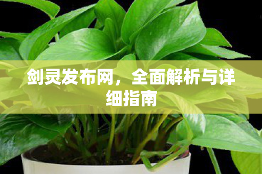 剑灵发布网，全面解析与详细指南