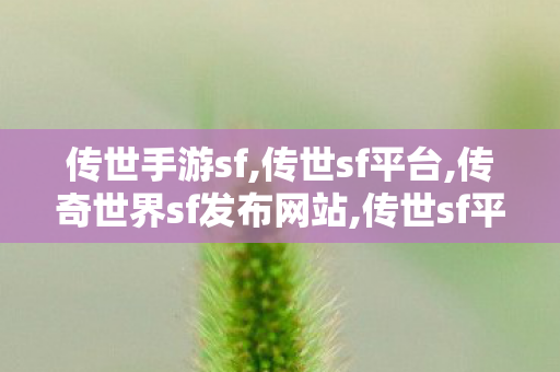 传世手游sf,传世sf平台,传奇世界sf发布网站,传世sf平台