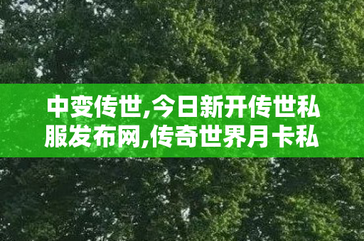 中变传世,今日新开传世私服发布网,传奇世界月卡私服,今日新开传世私服发布网