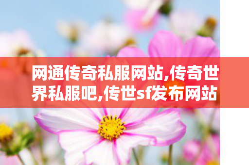 网通传奇私服网站,传奇世界私服吧,传世sf发布网站,传奇世界私服吧