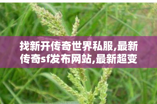 找新开传奇世界私服,最新传奇sf发布网站,最新超变态传世私服,最新传奇sf发布网站