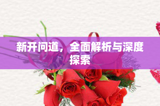 新开问道，全面解析与深度探索