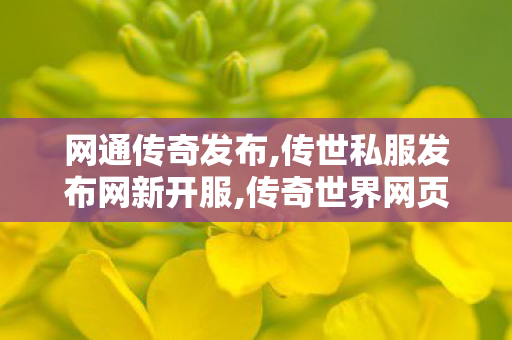 网通传奇发布,传世私服发布网新开服,传奇世界网页版官网,传世私服发布网新开服