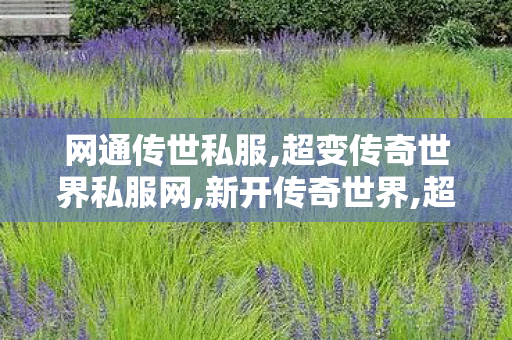 网通传世私服,超变传奇世界私服网,新开传奇世界,超变传奇世界私服网