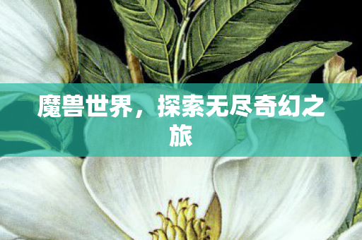魔兽世界，探索无尽奇幻之旅