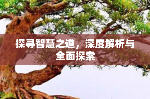 探寻智慧之道，深度解析与全面探索