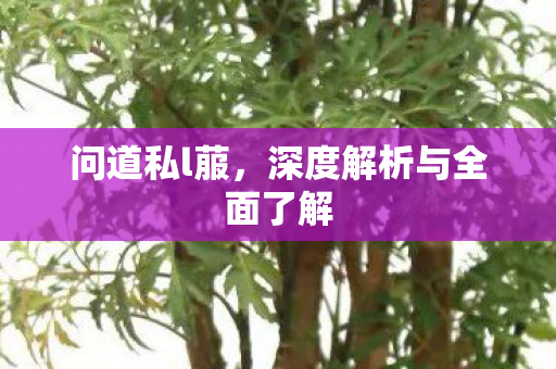 问道私l菔，深度解析与全面了解
