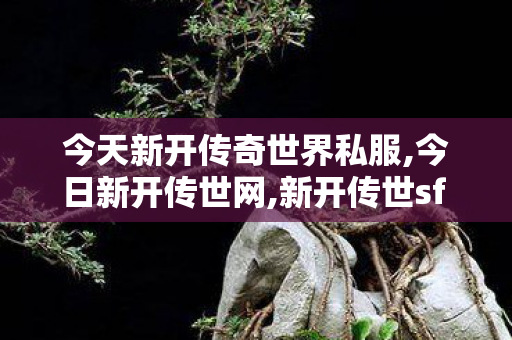今天新开传奇世界私服,今日新开传世网,新开传世sf 最新开,今日新开传世网
