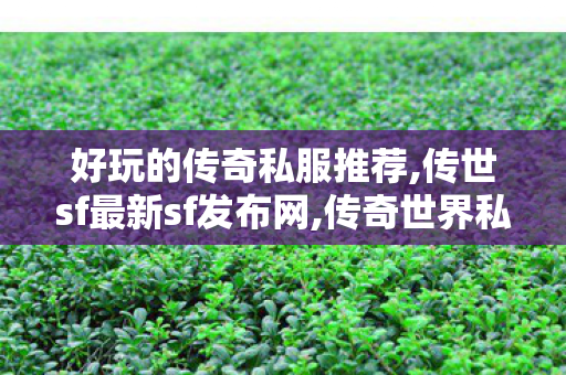 好玩的传奇私服推荐,传世sf最新sf发布网,传奇世界私服,传奇世界sf发布网,传世sf最新sf发布网
