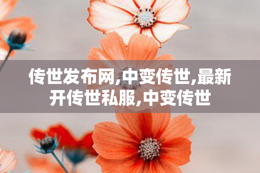 传世发布网,中变传世,最新开传世私服,中变传世