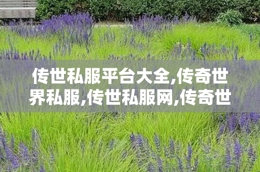 传世私服平台大全,传奇世界私服,传世私服网,传奇世界私发服网站,传奇世界私服,传世私服网