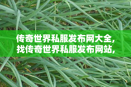 传奇世界私服发布网大全,找传奇世界私服发布网站,传世sf,找传奇世界私服发布网站