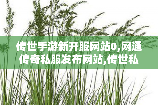 传世手游新开服网站0,网通传奇私服发布网站,传世私服开服,网通传奇私服发布网站