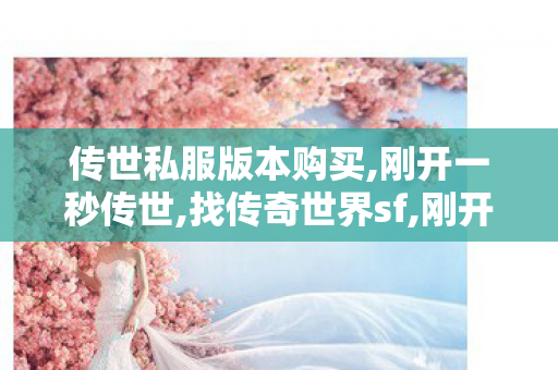 传世私服版本购买,刚开一秒传世,找传奇世界sf,刚开一秒传世