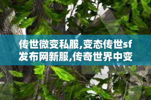 传世微变私服,变态传世sf发布网新服,传奇世界中变私发服网,变态传世sf发布网新服