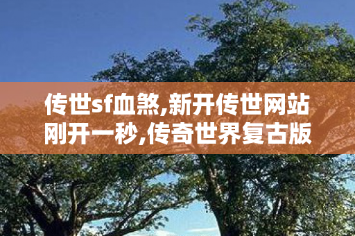 传世sf血煞,新开传世网站刚开一秒,传奇世界复古版本下载,新开传世网站刚开一秒