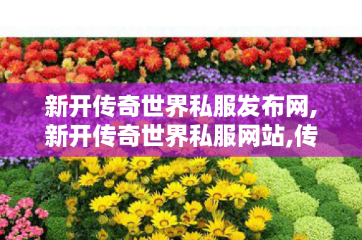 新开传奇世界私服发布网,新开传奇世界私服网站,传世sf发布网,新开传奇世界私服网站