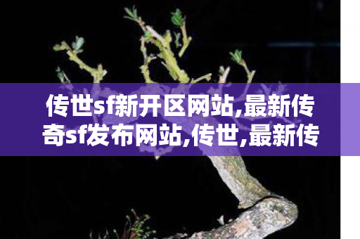 传世sf新开区网站,最新传奇sf发布网站,传世,最新传奇sf发布网站
