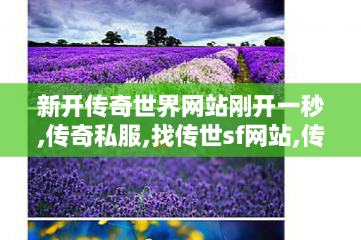 新开传奇世界网站刚开一秒,传奇私服,找传世sf网站,传奇私服