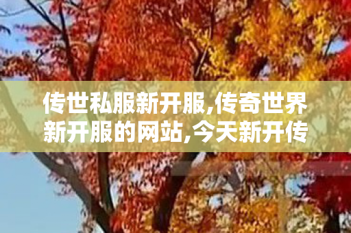 传世私服新开服,传奇世界新开服的网站,今天新开传奇世界私服,传奇世界新开服的网站