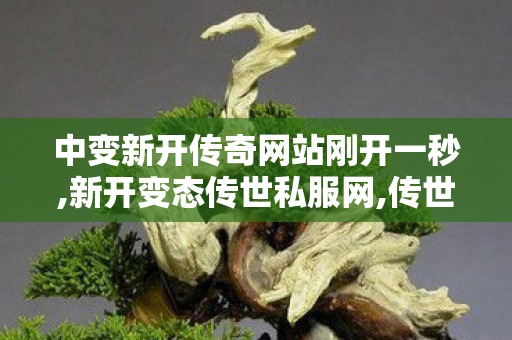中变新开传奇网站刚开一秒,新开变态传世私服网,传世sf发布网,新开变态传世私服网