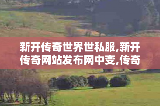 新开传奇世界世私服,新开传奇网站发布网中变,传奇世界私服变态版,新开传奇网站发布网中变