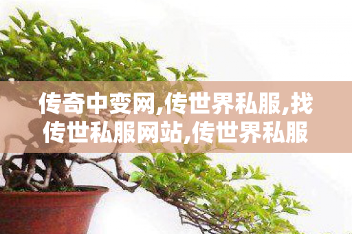 传奇中变网,传世界私服,找传世私服网站,传世界私服