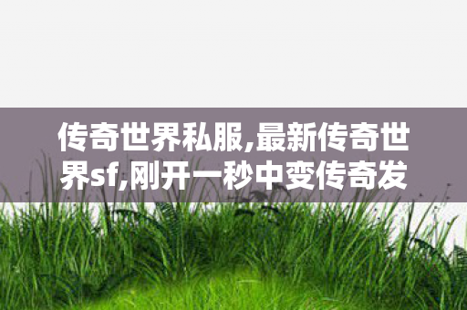 传奇世界私服,最新传奇世界sf,刚开一秒中变传奇发布网,传奇世界私服,传世sf网站,刚开一秒中变传奇发布网