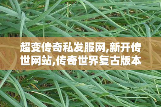 超变传奇私发服网,新开传世网站,传奇世界复古版本攻略,新开传世网站