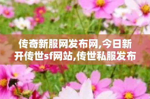 传奇新服网发布网,今日新开传世sf网站,传世私服发布网址,今日新开传世sf网站