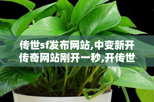 传世sf发布网站,中变新开传奇网站刚开一秒,开传世sf,中变新开传奇网站刚开一秒