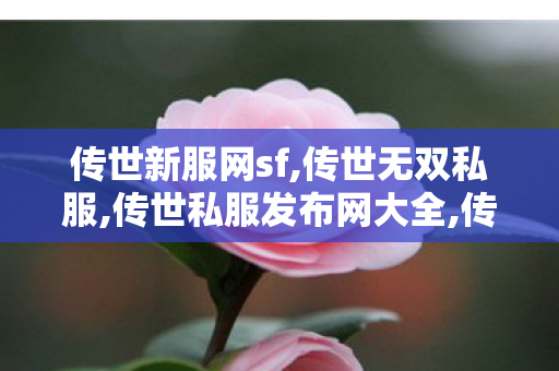 传世新服网sf,传世无双私服,传世私服发布网大全,传世无双私服