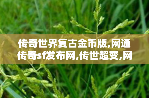 传奇世界复古金币版,网通传奇sf发布网,传世超变,网通传奇sf发布网