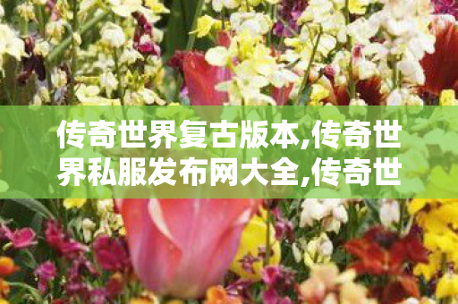 传奇世界复古版本,传奇世界私服发布网大全,传奇世界私服,最新传世私服,传奇世界私服发布网大全