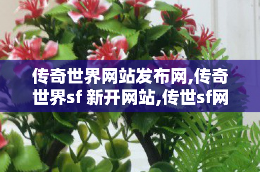 传奇世界网站发布网,传奇世界sf 新开网站,传世sf网,传奇世界sf 新开网站