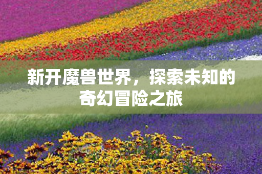 新开魔兽世界，探索未知的奇幻冒险之旅