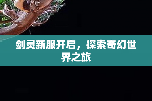 剑灵新服开启，探索奇幻世界之旅