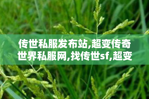 传世私服发布站,超变传奇世界私服网,找传世sf,超变传奇世界私服网