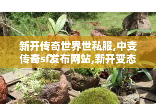 新开传奇世界世私服,中变传奇sf发布网站,新开变态传世私服,中变传奇sf发布网站