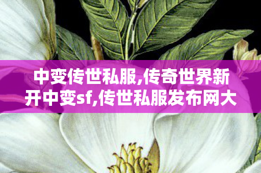 中变传世私服,传奇世界新开中变sf,传世私服发布网大全,传奇世界新开中变sf