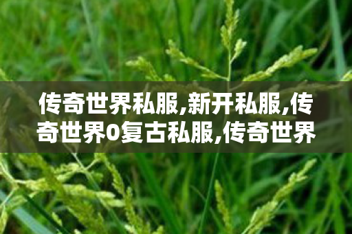 传奇世界私服,新开私服,传奇世界0复古私服,传奇世界私服微变,传奇世界0复古私服